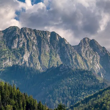 Tatry Mozaika Premium & - Sauna, Jacuzzi, Flipper By Rentilopl Villa Zakopane